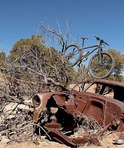 SRAM PG-1230 Eagle 12spd Cassette 5 SRAM PG-1230 Eagle 12spd Cassette -SRAM Official Website sannh1 3